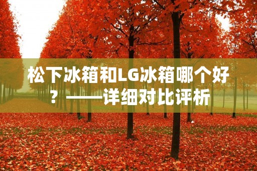 松下冰箱和LG冰箱哪个好?——详细对比评析 松下冰箱和LG冰箱哪个好?——详细对比评析