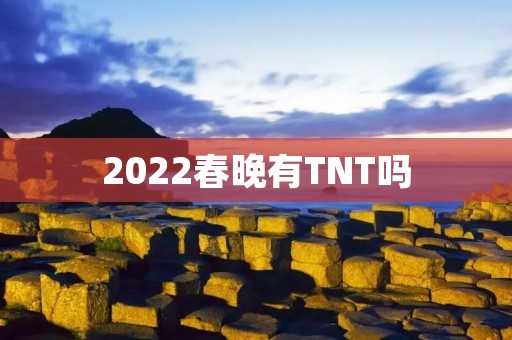 2022春晚有TNT吗 2022春晚有TNT吗