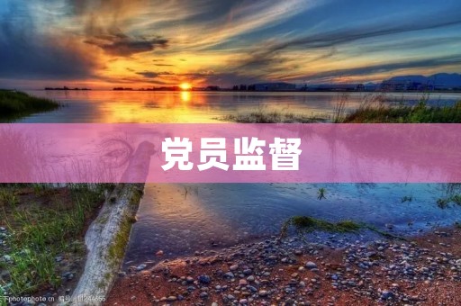 党员监督:推动党风廉政建设的重要抓手 党员监督:推动党风廉政建设的重要抓手