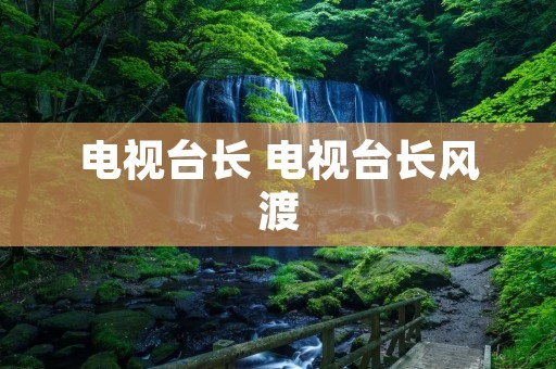 电视台长 电视台长风渡