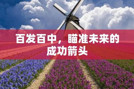 百发百中，瞄准未来的成功箭头
