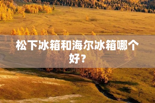 松下冰箱和海尔冰箱哪个好？