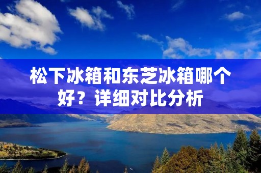 松下冰箱和东芝冰箱哪个好?详细对比分析 松下冰箱和东芝冰箱哪个好?详细对比分析