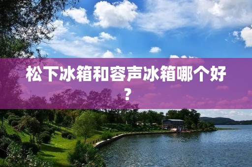 松下冰箱和容声冰箱哪个好？