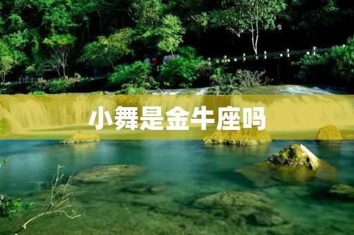 小舞是金牛座吗 小舞是金牛座吗