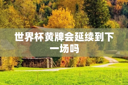 世界杯黄牌会延续到下一场吗