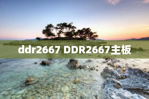ddr2667 DDR2667主板 ddr2667 DDR2667主板