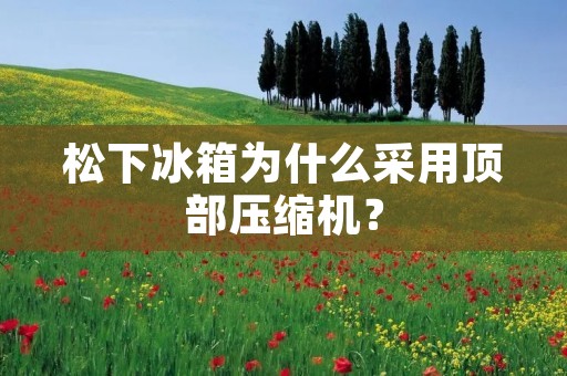 松下冰箱为什么采用顶部压缩机? 松下冰箱为什么采用顶部压缩机?