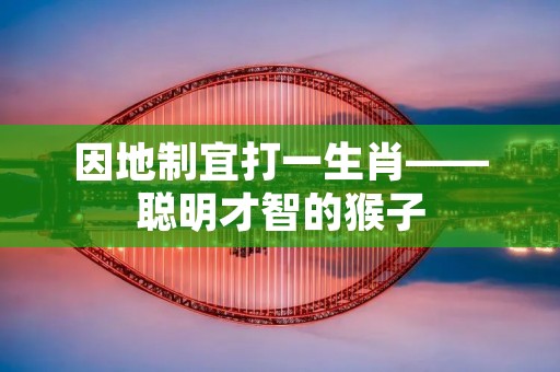因地制宜打一生肖——聪明才智的猴子