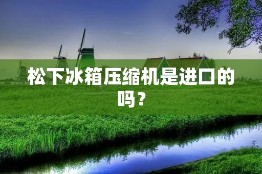 松下冰箱压缩机是进口的吗？