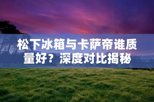 松下冰箱与卡萨帝谁质量好？深度对比揭秘