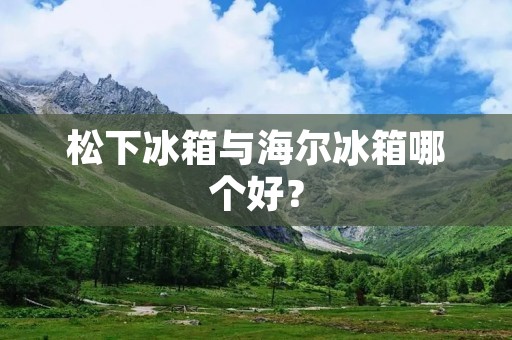 松下冰箱与海尔冰箱哪个好? 松下冰箱与海尔冰箱哪个好?