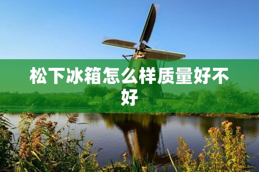 松下冰箱怎么样质量好不好：全面评估与详细解析