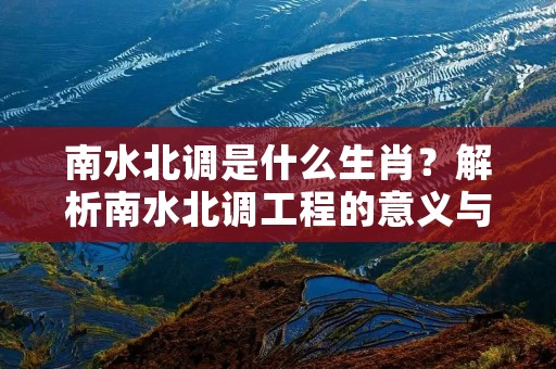 南水北调是什么生肖？解析南水北调工程的意义与影响