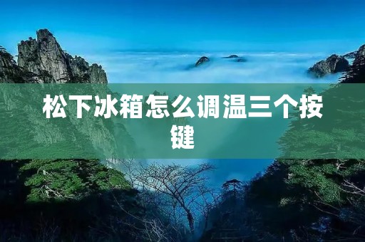 松下冰箱怎么调温三个按键:详细操作指南 松下冰箱怎么调温三个按键:详细操作指南