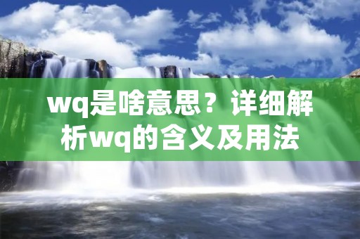 wq是啥意思?详细解析wq的含义及用法 wq是啥意思?详细解析wq的含义及用法