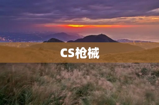 CS枪械：从经典到现代，全面解析