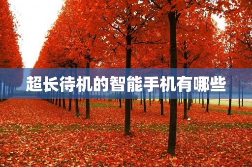 超长待机的智能手机有哪些