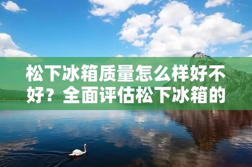 松下冰箱质量怎么样好不好?全面评估松下冰箱的性能和可靠性 松下冰箱质量怎么样好不好?全面评估松下冰箱的性能和可靠性