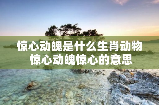 惊心动魄是什么生肖动物 惊心动魄惊心的意思