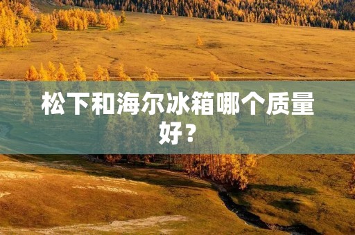 松下和海尔冰箱哪个质量好? 松下和海尔冰箱哪个质量好?