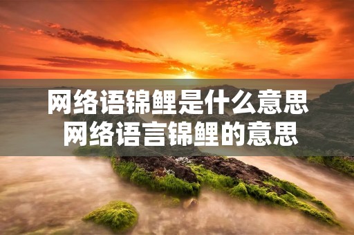 网络语锦鲤是什么意思 网络语言锦鲤的意思 网络语锦鲤是什么意思 网络语言锦鲤的意思