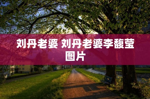 刘丹老婆 刘丹老婆李馥莹图片 刘丹老婆 刘丹老婆李馥莹图片
