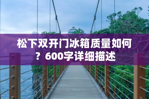 松下**门冰箱质量如何？600字详细描述