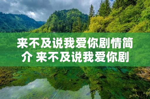 来不及说我爱你剧情简介 来不及说我爱你剧情简介演员