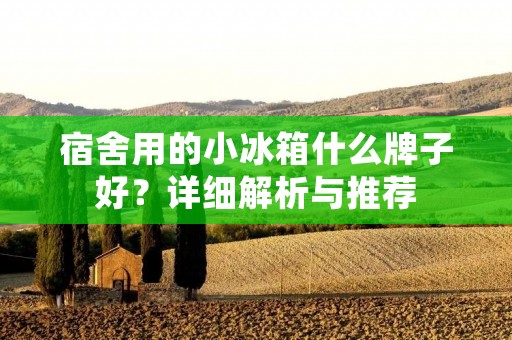 宿舍用的小冰箱什么牌子好?详细解析与推荐 宿舍用的小冰箱什么牌子好?详细解析与推荐