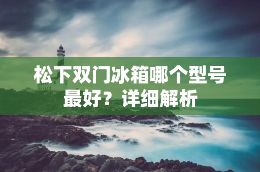 松下双门冰箱哪个型号最好？详细解析