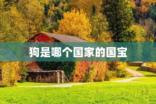 狗是哪个国家的国宝