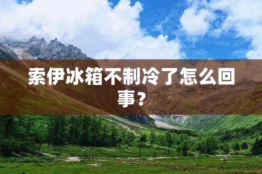 索伊冰箱不制冷了怎么回事？