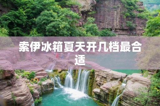 索伊冰箱夏天开几档最合适：如何调整索伊冰箱的温度以适应夏季需求