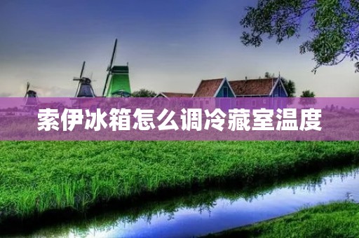 索伊冰箱怎么调冷藏室温度