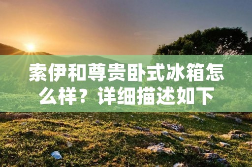 索伊和尊贵卧式冰箱怎么样？详细描述如下：