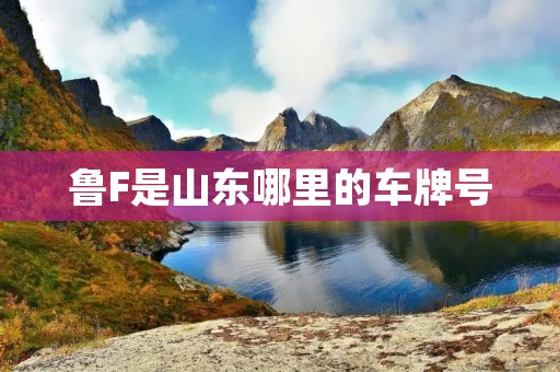 鲁F是山东哪里的车牌号 鲁F是山东哪里的车牌号