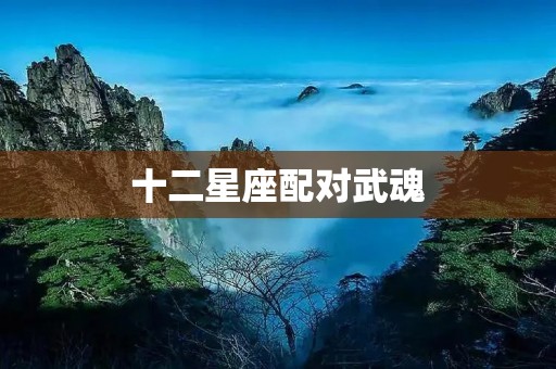 十二星座配对武魂:探索星座与武魂的奇妙组合 十二星座配对武魂:探索星座与武魂的奇妙组合