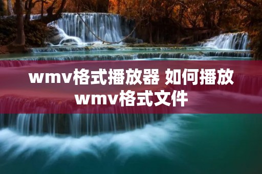 wmv格式播放器 如何播放wmv格式文件