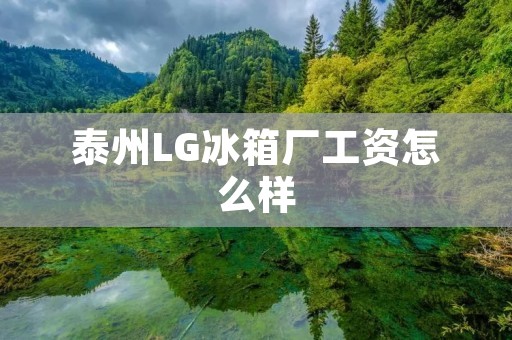 泰州LG冰箱厂工资怎么样：详细揭秘内部薪资待遇