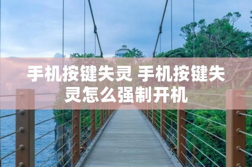 手机按键失灵 手机按键失灵怎么强制开机
