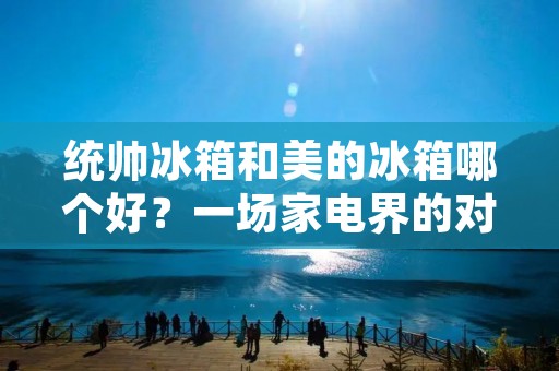统帅冰箱和美的冰箱哪个好？一场家电界的对决
