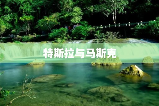 特斯拉与马斯克：电动汽车与创新之路
