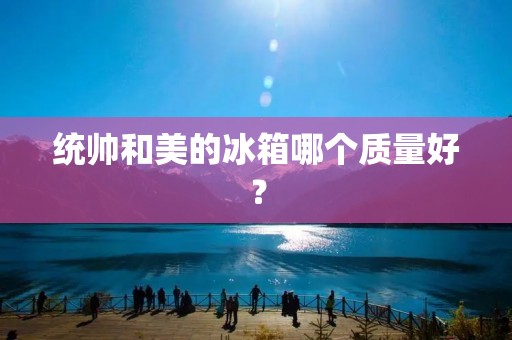 统帅和美的冰箱哪个质量好? 统帅和美的冰箱哪个质量好?