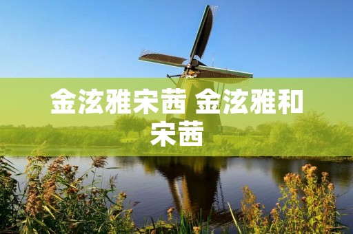 金泫雅宋茜 金泫雅和宋茜