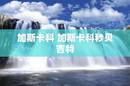 加斯卡科 加斯卡科秒贝吉特