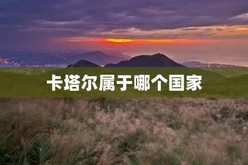 卡塔尔属于哪个国家