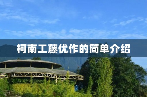 柯南工藤优作的简单介绍