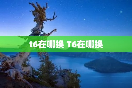 t6在哪换 T6在哪换