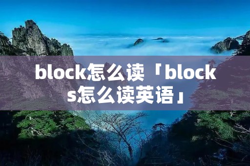 block怎么读「blocks怎么读英语」